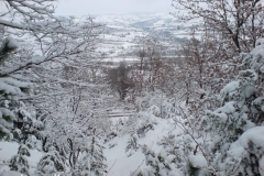 Зима в Крумовград 2013